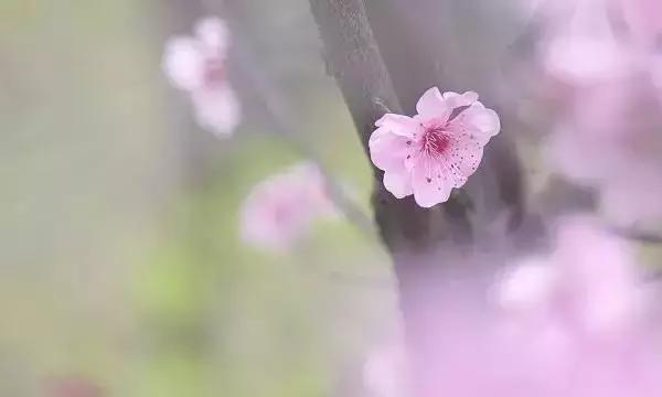 人生就像生意，付出的不一定会有回报