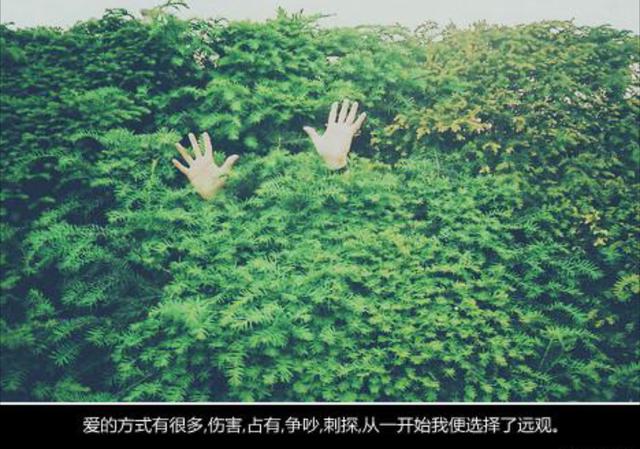 成长像滚雪球，越滚越重