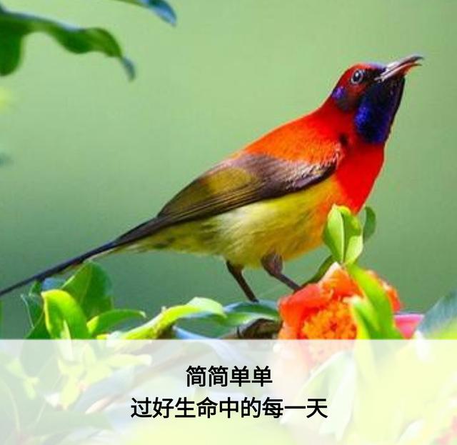 一辈子这么短，咱活着图个啥？