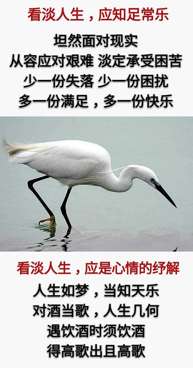 人生：50岁以后，一切看淡「句句精辟」