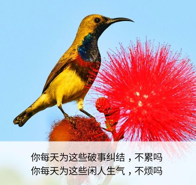 一辈子这么短，咱活着图个啥？