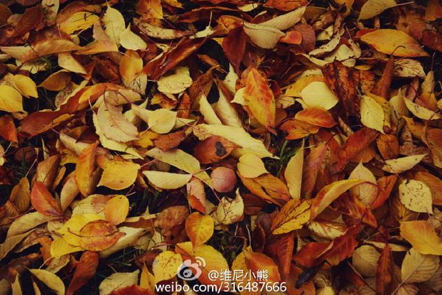 提升自己魅力的五个办法