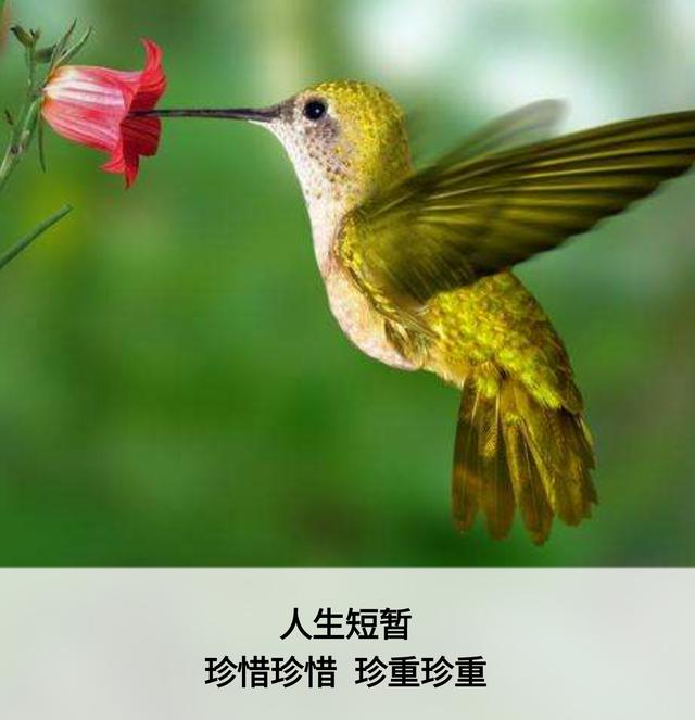 一辈子这么短，咱活着图个啥？