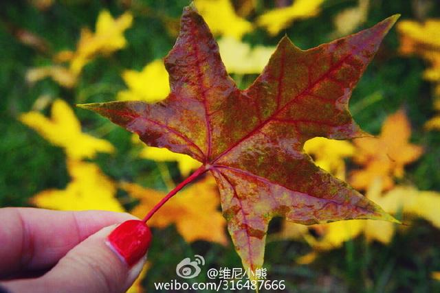 提升自己魅力的五个办法