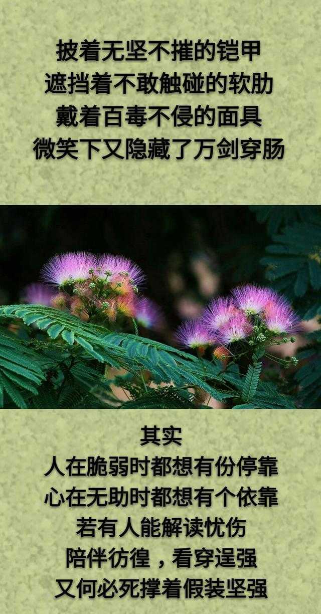 想：哭了有人慰，累了有人靠；但：生活得自己忙，眼泪得自己擦