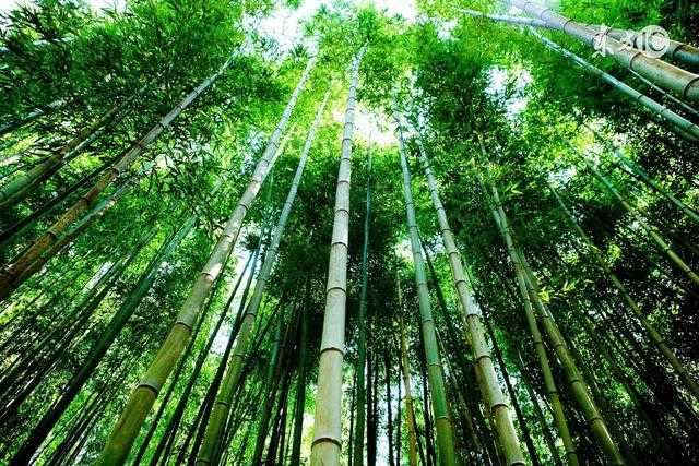 人生苦短，何不淡然！（写得真好）