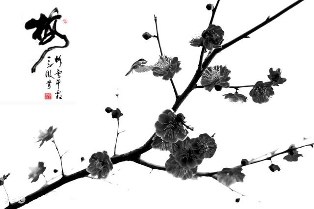 得意时；谁认识了你，失意时；你认识了谁《句句入心》