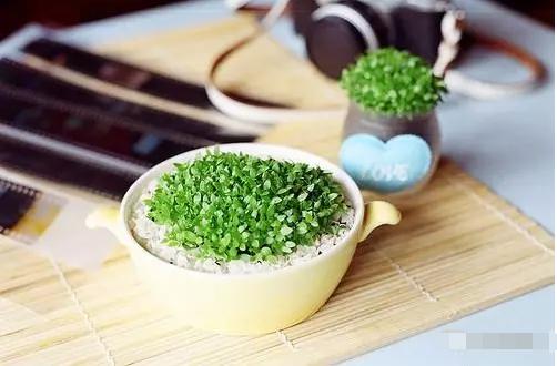 生活如此难，有些话不能说穿（心声）