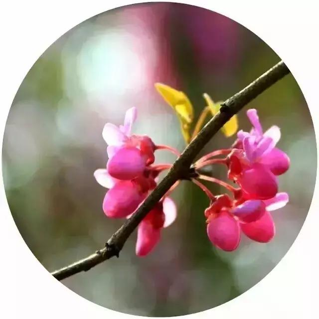 珍惜身边的幸福，欣赏自己的拥有