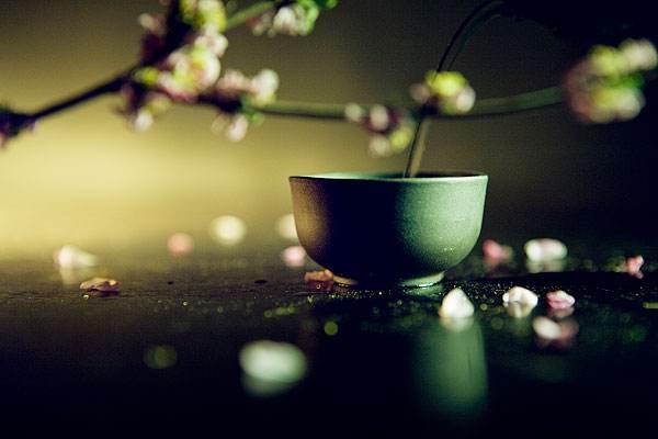 试探，人性的弱点，是一种愚蠢