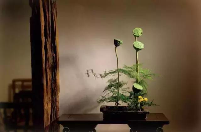 淡淡的活，慢慢的老