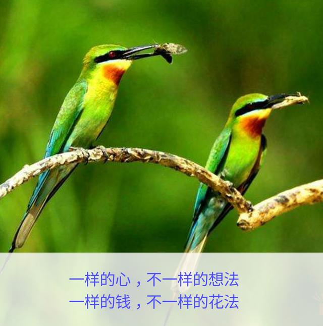 一辈子这么短，咱活着图个啥？