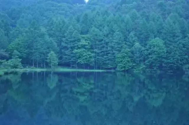 六句生活感悟，读懂了就开阔了