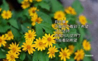 无法改变世界，可以改变观念，与人为善，与己为善