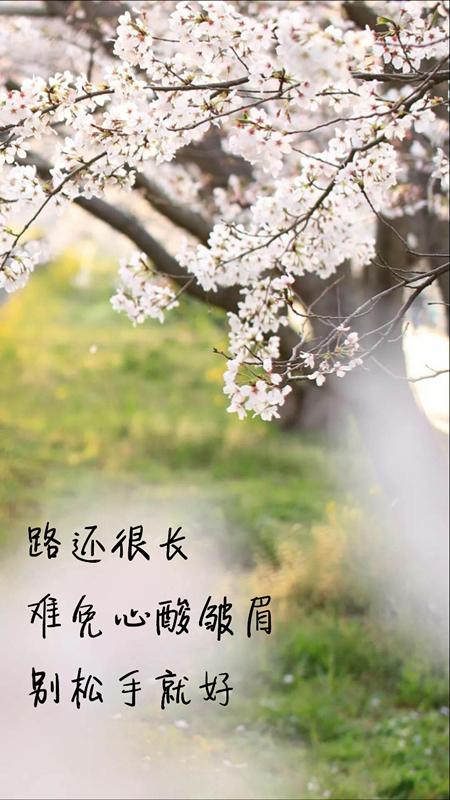 八个句子，愿你我千杯不醉，举杯笑谈