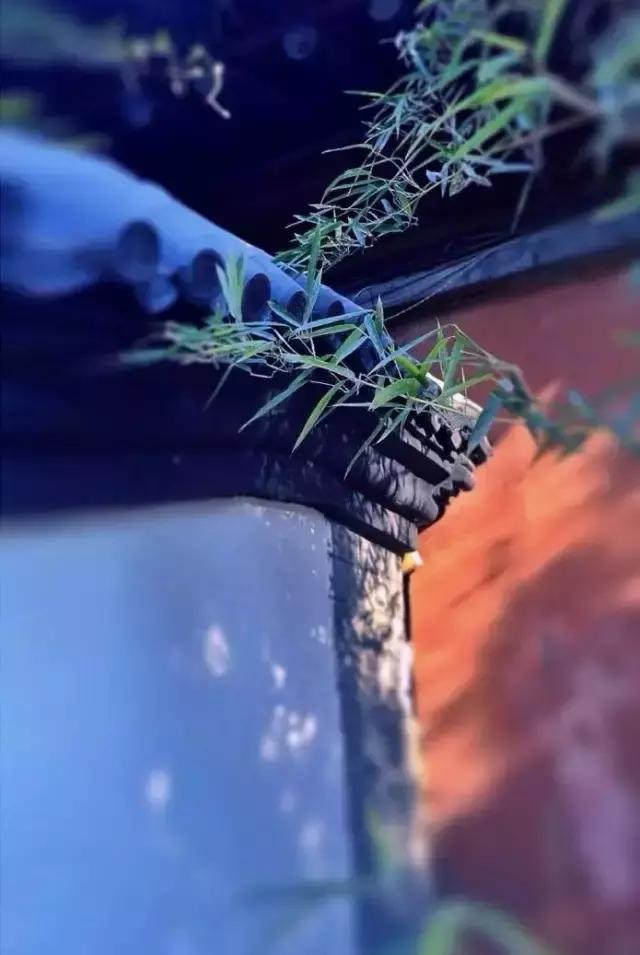 缘份的秘密！