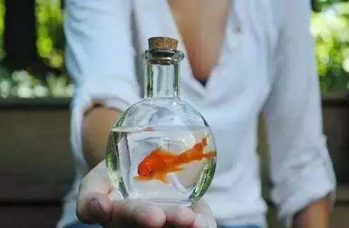 一个空瓶（此生必读）