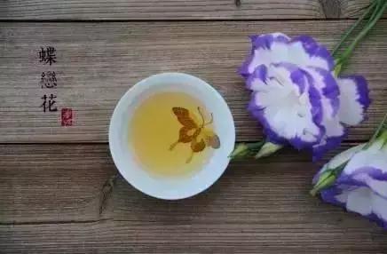 别惯坏，不领情的人；别喂饱，不感恩的心