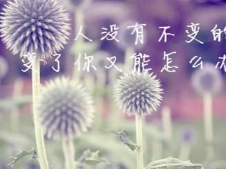 不往前走，就将永远停留