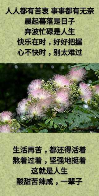 想：哭了有人慰，累了有人靠；但：生活得自己忙，眼泪得自己擦