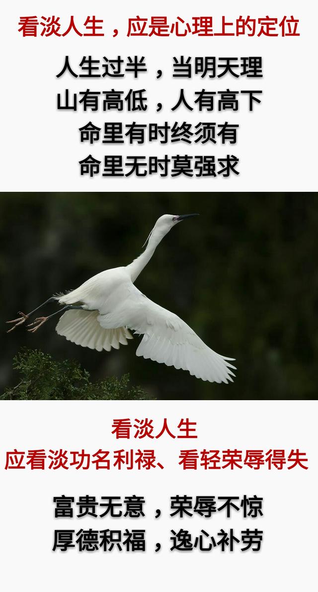 人生：50岁以后，一切看淡「句句精辟」