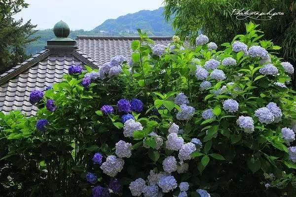愿时光温良，岁月静好