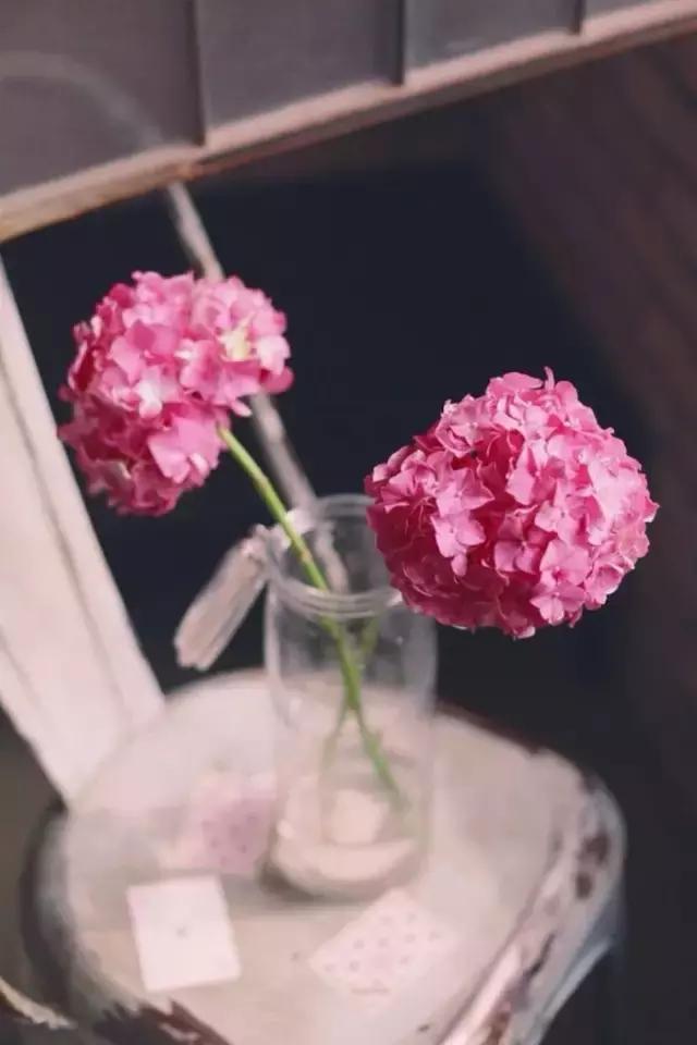 生活，就是要生动地活着