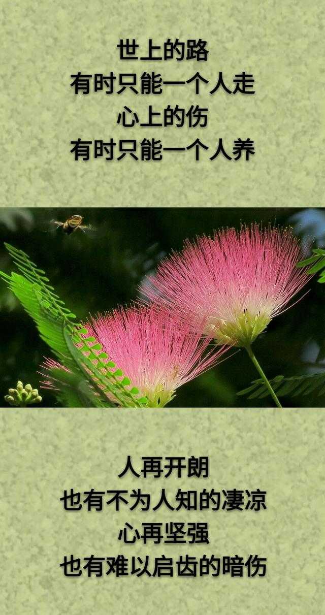 想：哭了有人慰，累了有人靠；但：生活得自己忙，眼泪得自己擦
