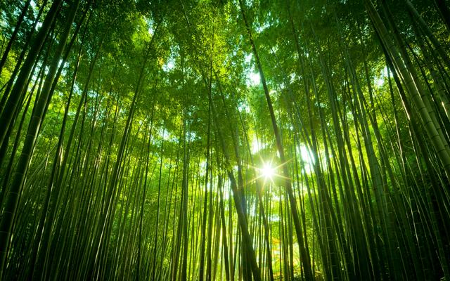 暖一颗心，费很多年；凉一颗心，只花一瞬间