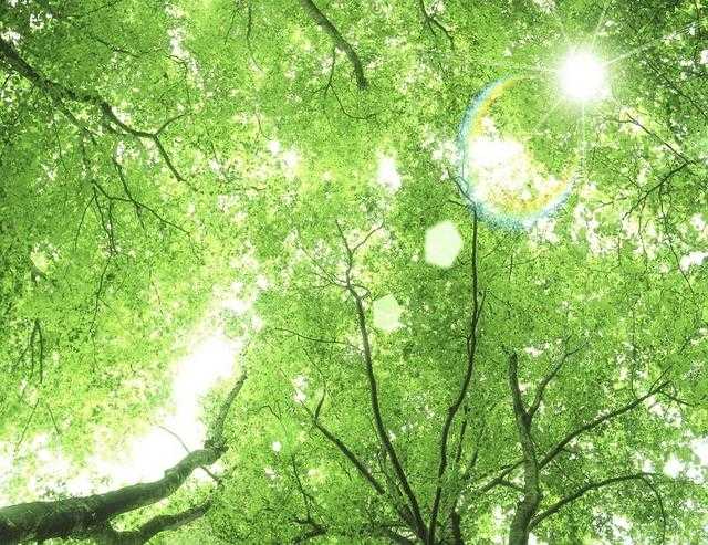 喂狗三天，记三年；养人三年，记三天！（说的好）