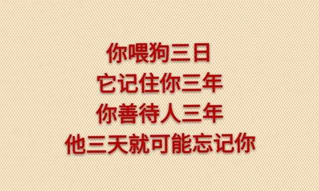 喂狗三日三年记；养人三年三日忘