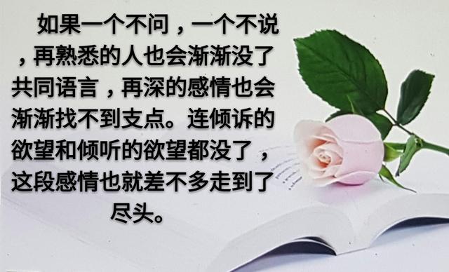 人和人之间，为什么变得越来越淡？