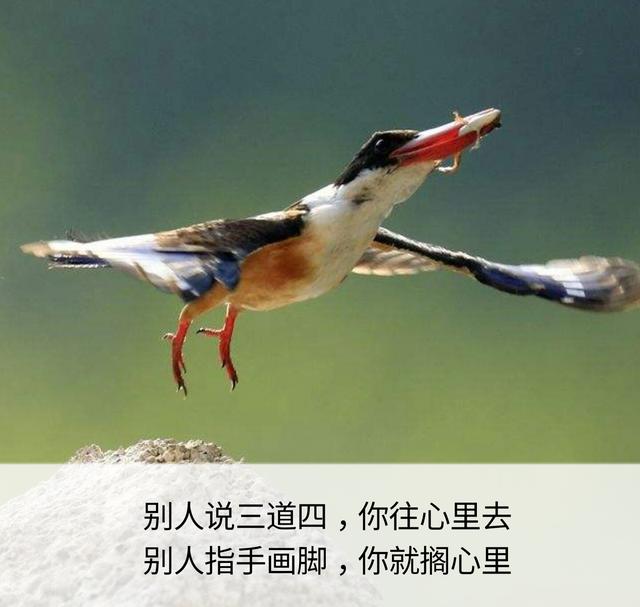 一辈子这么短，咱活着图个啥？