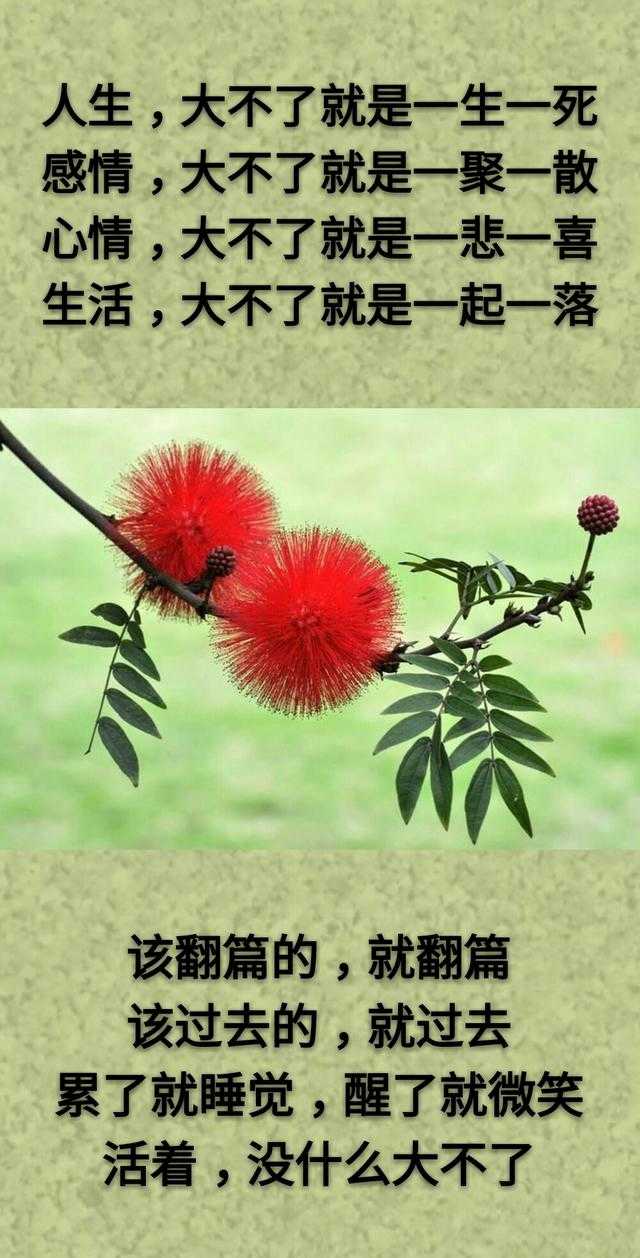 想：哭了有人慰，累了有人靠；但：生活得自己忙，眼泪得自己擦