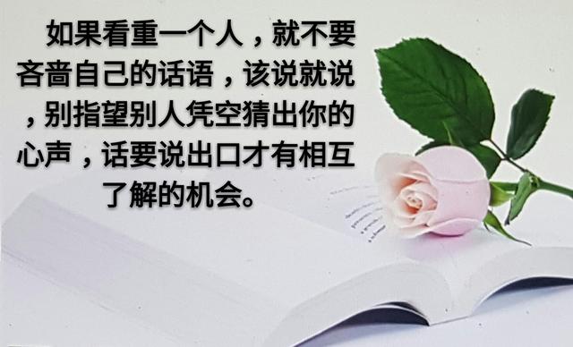 人和人之间，为什么变得越来越淡？