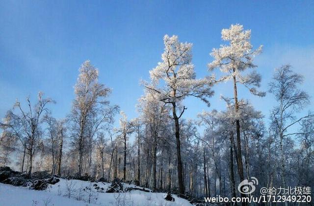 进入社会，有几样东西不能带