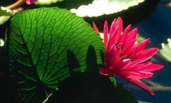 浮华随风，在乎就好