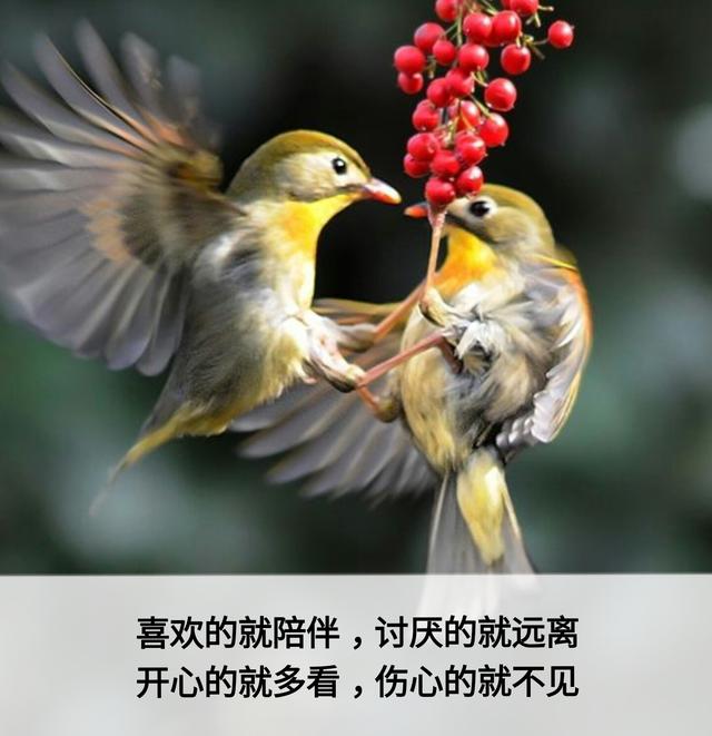 一辈子这么短，咱活着图个啥？