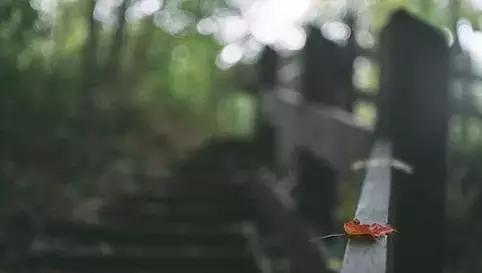 心软的人，容易被人当成傻子