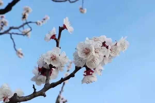 我所说的，或许真的不是你想听的