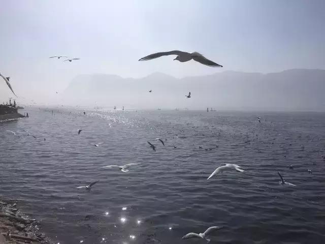 生活，贵在心境平和