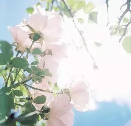 你，真的成熟了么？