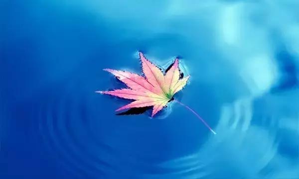 匆匆年华几许，务必善待自己！