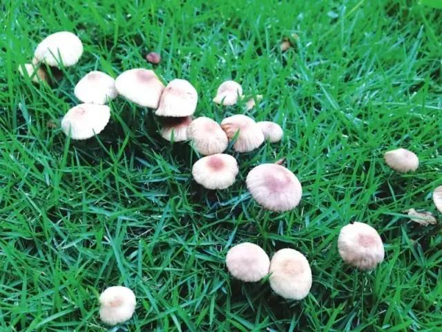 真正爱自己，才是此生最大的醒悟