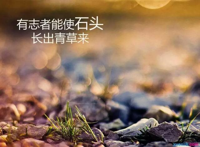 没有谁，是不去经受生活的磨练的，坚持就会得到你想要的