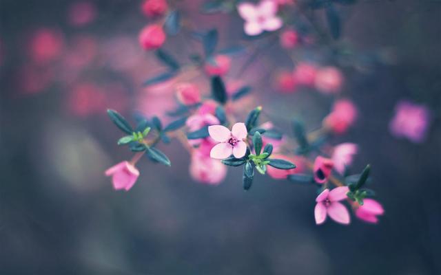 享受当下，任性玩