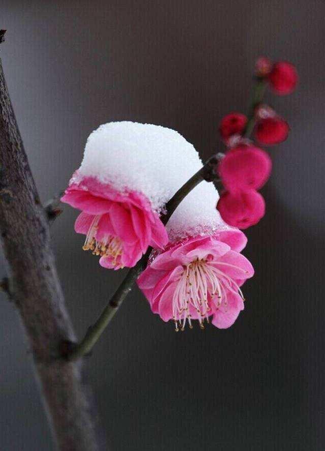 生活这场表演，需要百遍练习