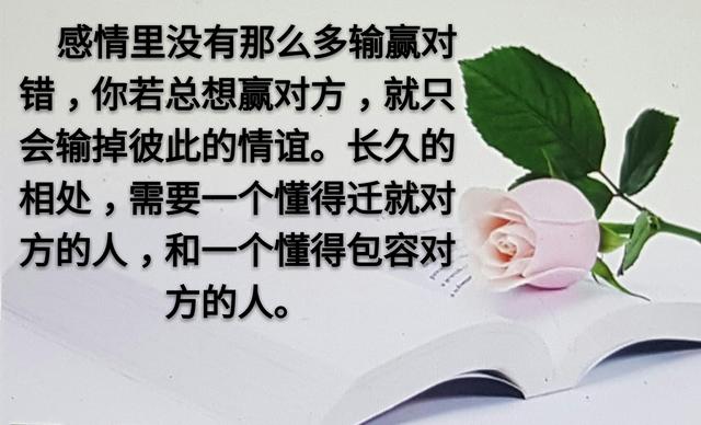 人和人之间，为什么变得越来越淡？