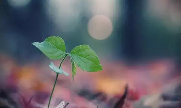 活着，别想那么多没用的