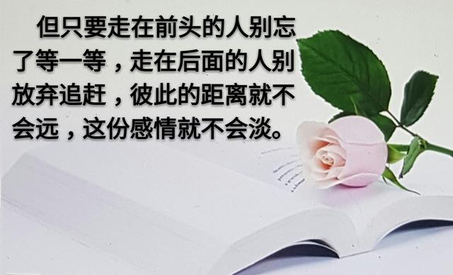 人和人之间，为什么变得越来越淡？
